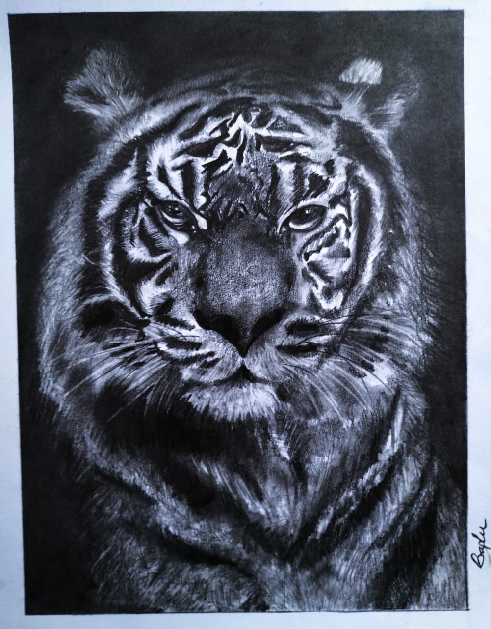 Charcoal Drawing